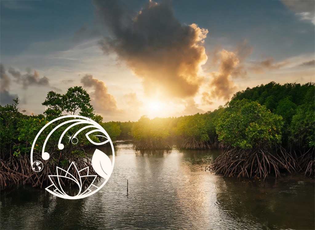 Mangroves’ Importance in Stemming the&nbsp;Tide