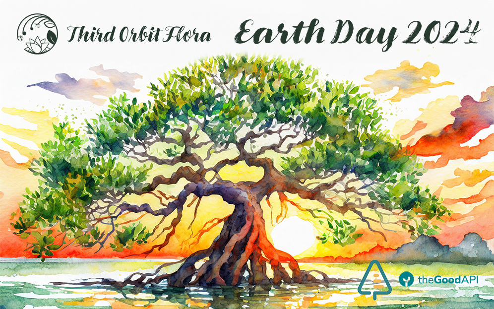 Leave a Legacy with Sprout and the Eden Reforestation&nbsp;Project