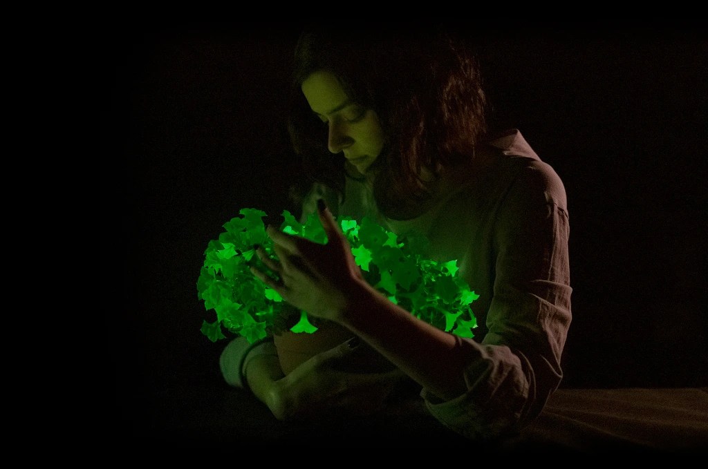 Firefly Petunias: The Science and Company Behind Bioluminescent&nbsp;Flowers