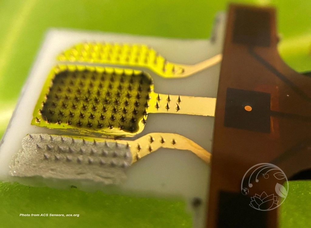 Smart Watch for Plants: Researchers Build Sensor that Detects Stress Signals in&nbsp;Plants