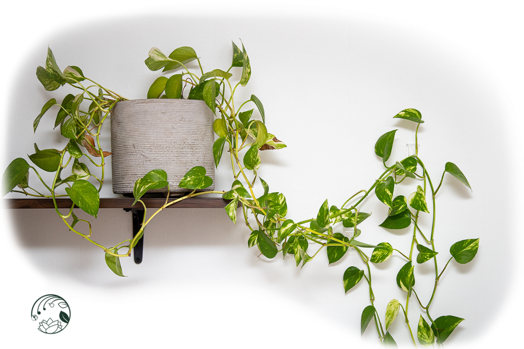 Welcome, Spring! Preparing Your Space and Spirit for the Season of&nbsp;Renewal