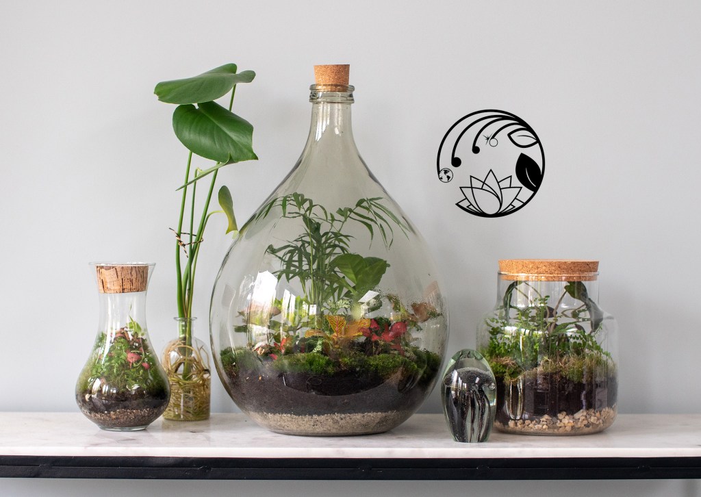 The World’s Oldest Self-Sustaining&nbsp;Terrarium